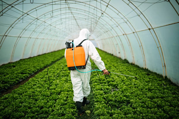 Best Residential Pest Control  in Afton, MN
