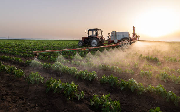 Reliable Afton, MN Pest Control Solutions